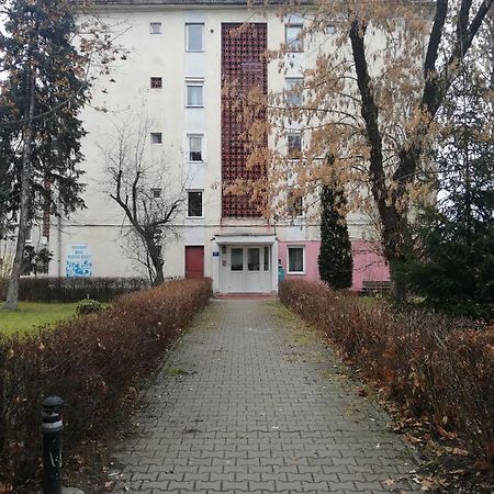 Apartament Raluca Toplita  Exterior photo
