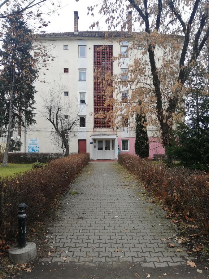 Apartament Raluca Toplita  Exterior photo
